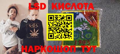 тгк Кингисепп