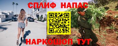 тгк Кингисепп