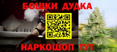 тгк Кингисепп