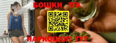 тгк Кингисепп