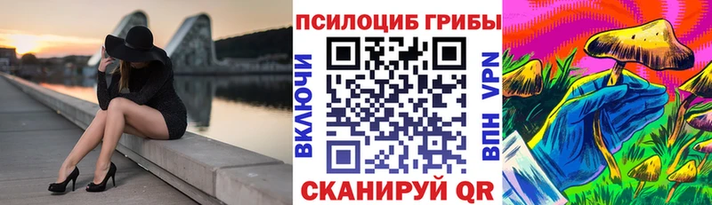 магазин  наркотиков  Тихорецк  Галлюциногенные грибы GOLDEN TEACHER 
