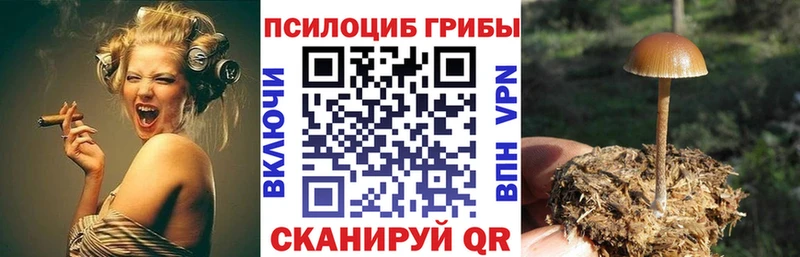 Галлюциногенные грибы MAGIC MUSHROOMS Тихорецк